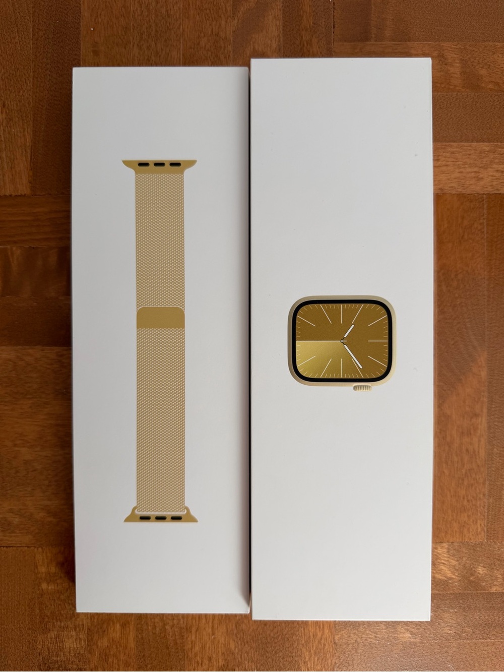 Apple Gold Milanese Loop Apple Watch Band and Case